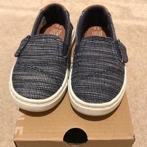 Toms baby boy shoe